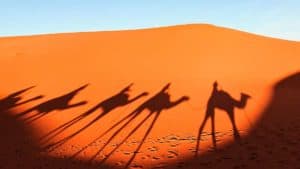 circuito para solteros marruecos semana santa