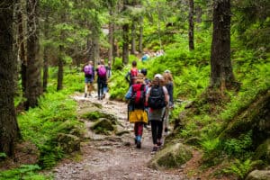 Camino De Santiago para Singles