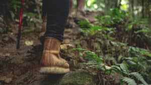 Senderismo en el Camino de Santiago
