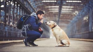 viajar con tu mascota en tren