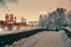 Central park cubierto de nieve