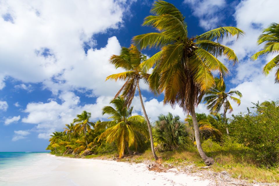 punta-cana